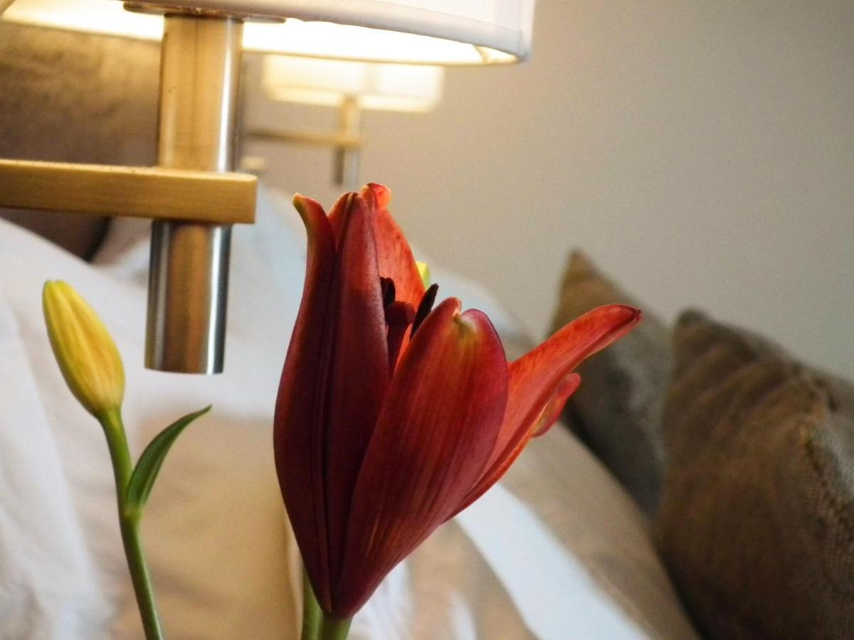 Hotel K バイーア・イングレサ エクステリア 写真